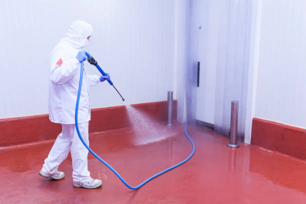 Best Deck and Patio Pressure Washing in Hildebran, NC